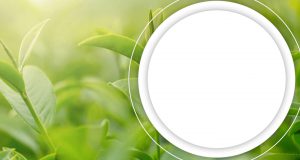 Goodwill Diverted 3.6 Billion pounds Of Usable Goods To Landfills