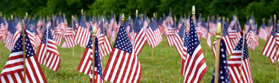 Field of American flags planted in a grassy area with a forest backdrop.