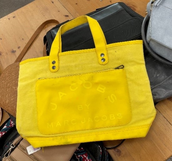 Yellow Purse Earth Day