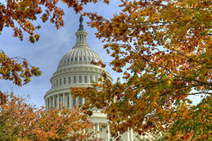 U.S. Capitol dome framed by autumn trees with orange leaves.