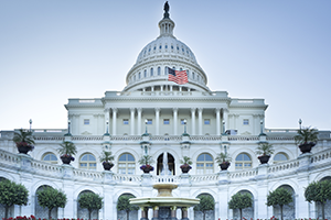 Front view of the United States Capitol in Washington, D.C. with the dome and flag, set against a clear blue sky.