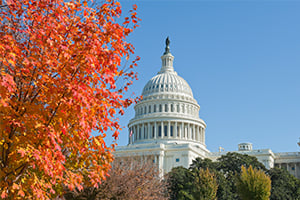 U.S. Capitol dome framed by autumn trees with orange foliage against a clear blue sky.