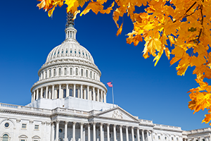 Capitol dome framed by vibrant fall foliage and a bright blue sky.