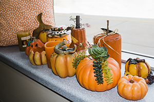 Assorted pumpkins and gourds arranged on a windowsill, with a trailing succulent plant and a polka-dotted gift bag in the background.