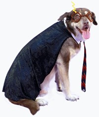 Dog wearing a dark cape and striped tie, posing superhero-style.