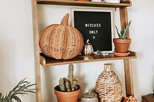 Decorative woven pumpkin and plants arranged on a wooden shelf, with a small blackboard reading 'WITCHES ONLY'.