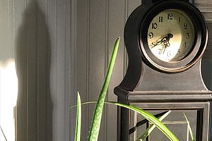 Vintage mantel clock on a dark wood shelf with tall green plant leaves in the foreground.