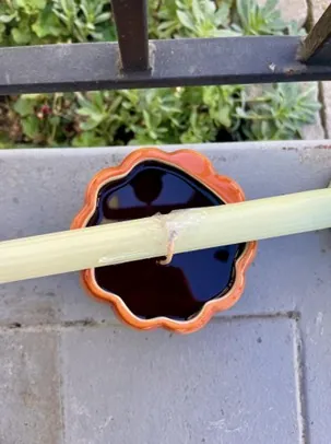 Friendsgiving_Candle_8